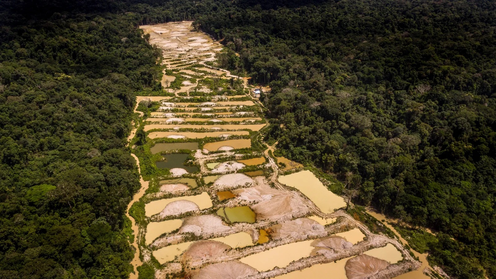 Abusos Da Mineração Ilegal De Ouro Na Amazônia | Blog Do Jura